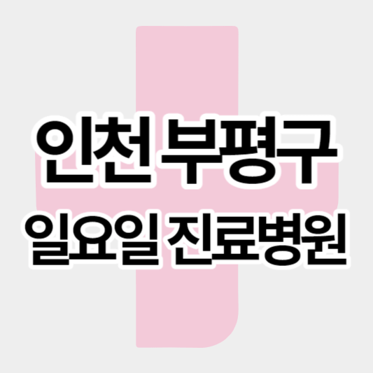 인천부평구_일요일진료병원_썸네일