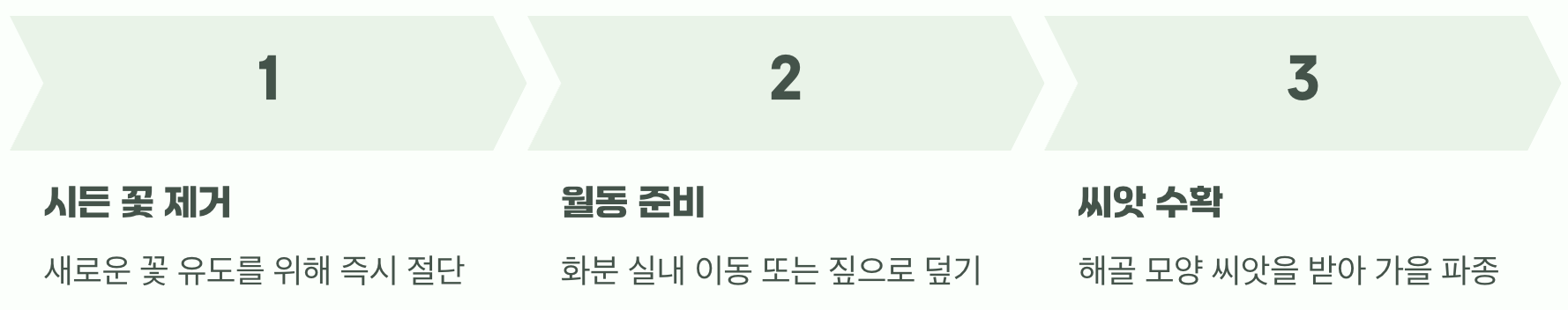 축제가 끝난 뒤, 내년을 기약하며 (수확과 월동)