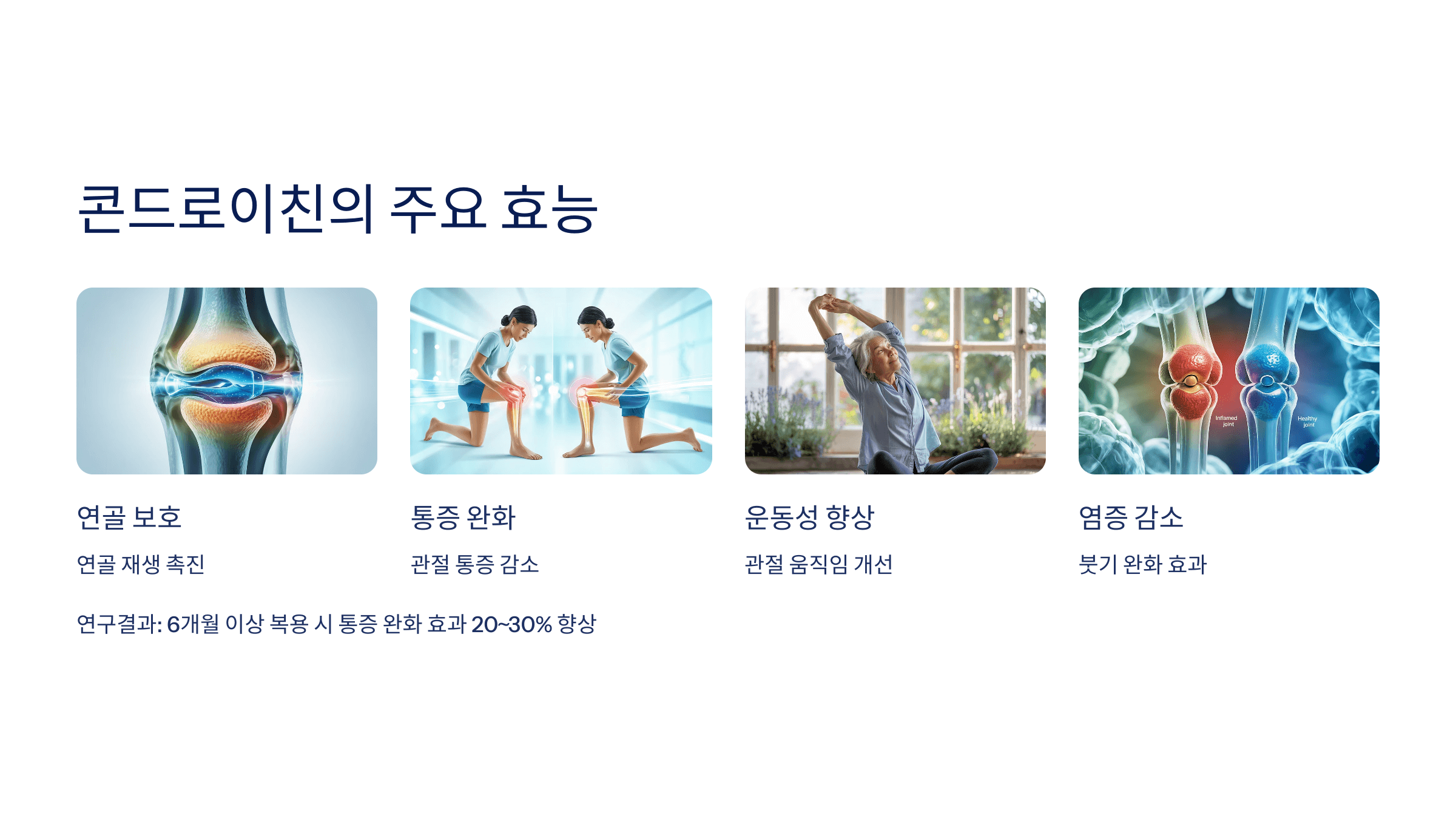 콘드로이친과 관련된 사진입니다.