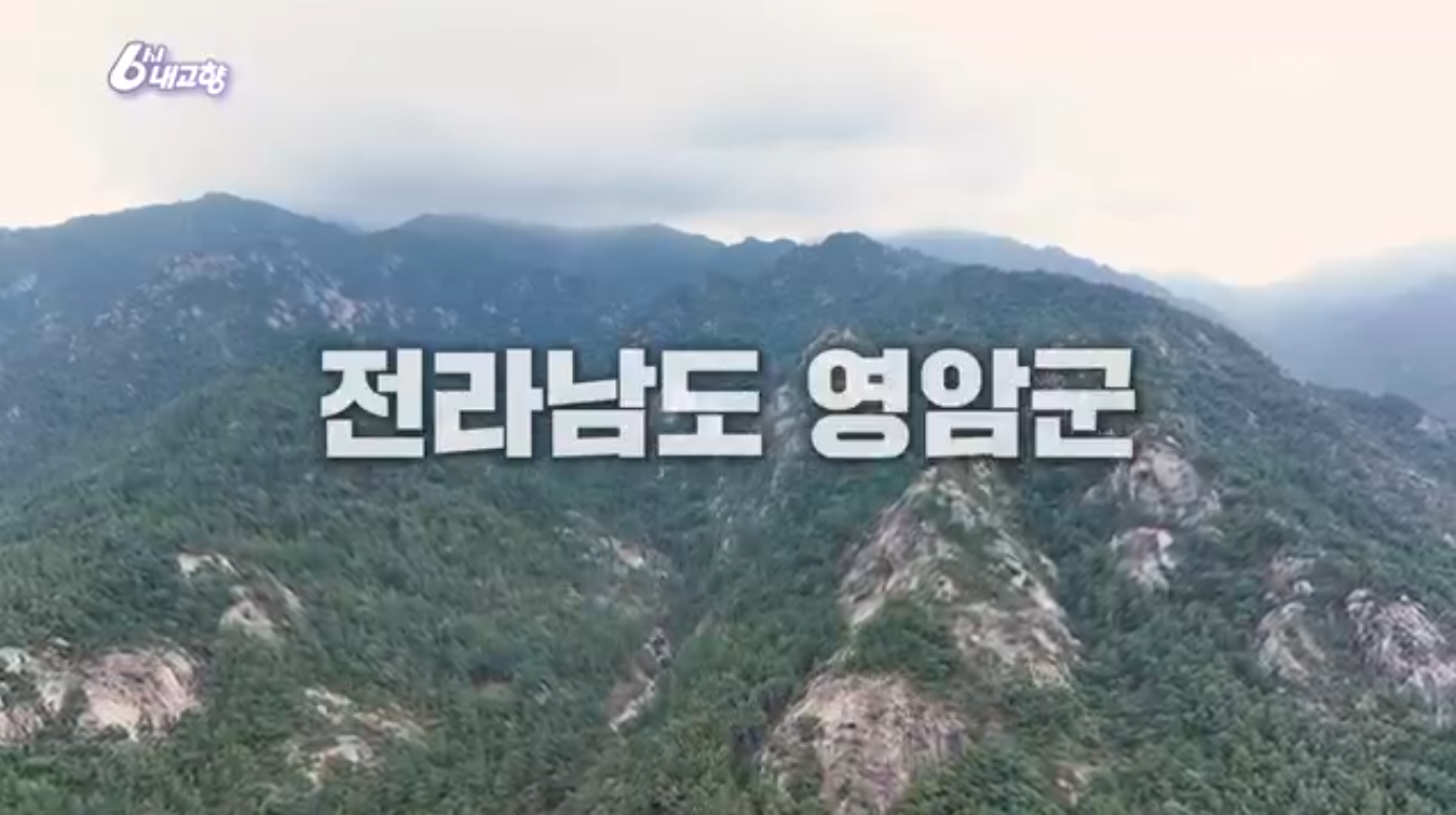 6시내고향 k맛있을지도