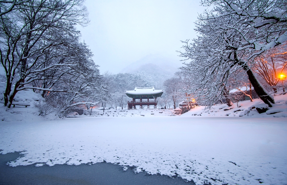 겨울