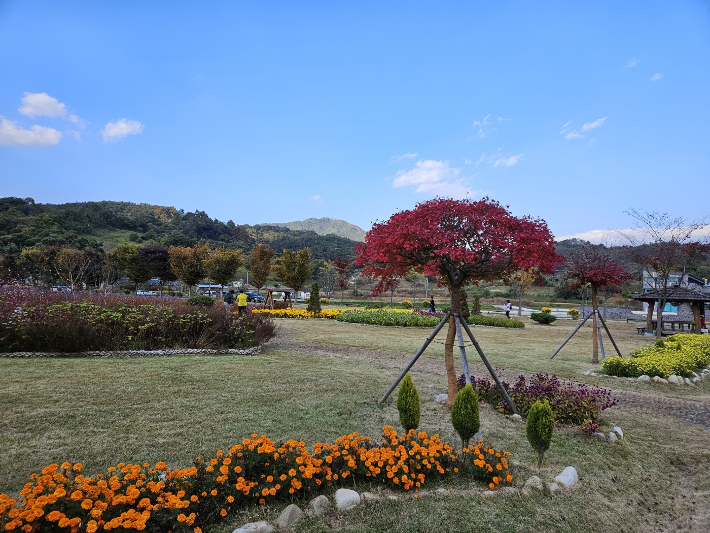 경남 함양상림공원 꽃