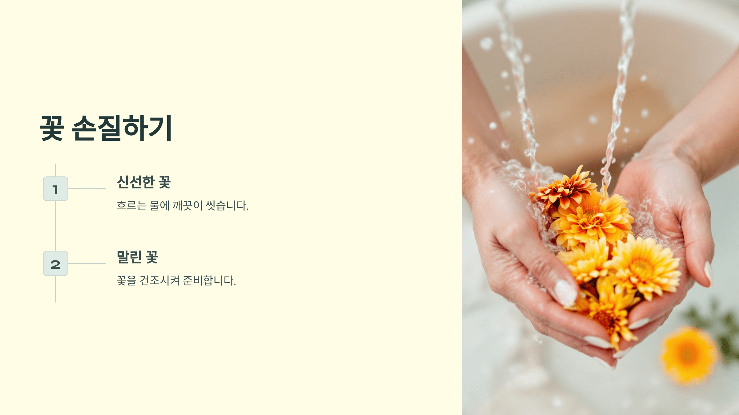 메리골드 꽃차 사진입니다.