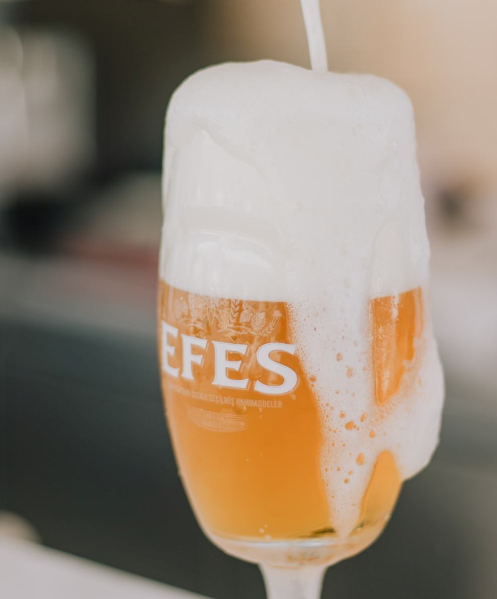 살곶이공원 맥주축제