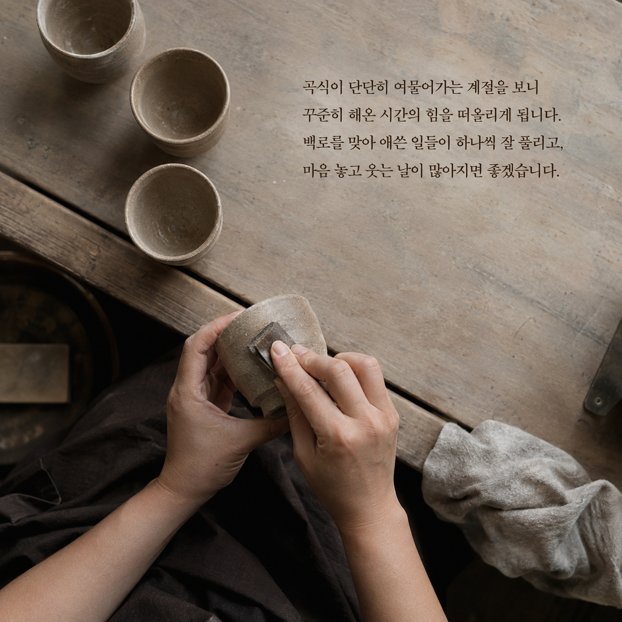 곡식이 단단히 여무는 백로에 애쓴 일이 잘 풀리길 바라는 인사말 이미지