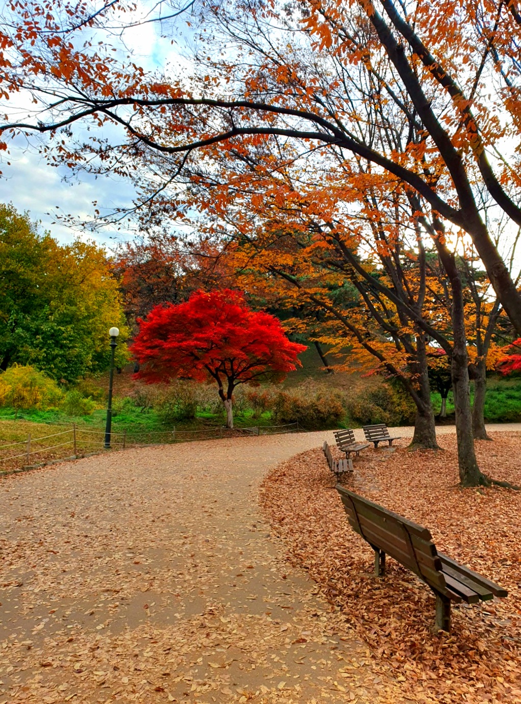 빨간-단풍이-예뻐요.