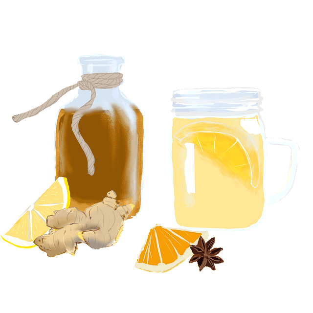 콤부차 일러스트