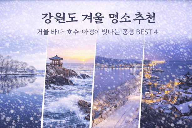 강원도 겨울 여행 명소 추천, 바다·호수·야경 BEST 4