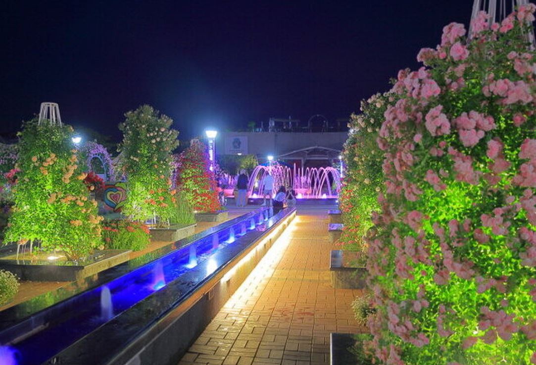 곡성장미축제 기간 입장료