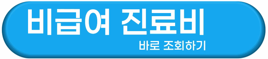 비급여 진료비 확인하는 방법