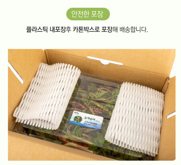 경남 산청 산나물 &lsquo;눈개승마&rsquo; 구매처