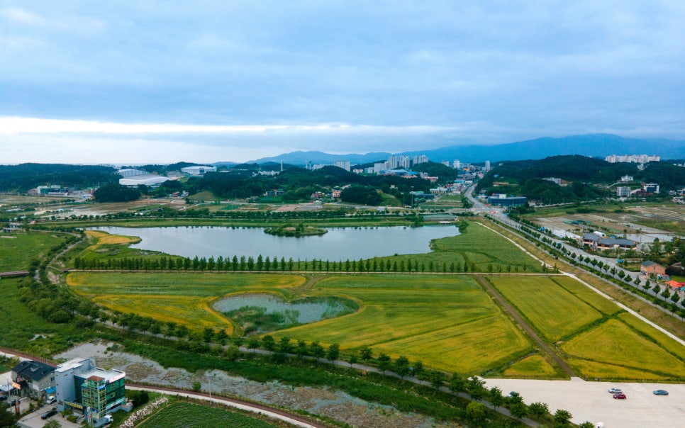 강릉 경포생태저류지