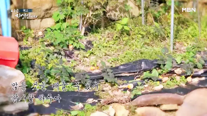 나는-자연인이다-이승윤