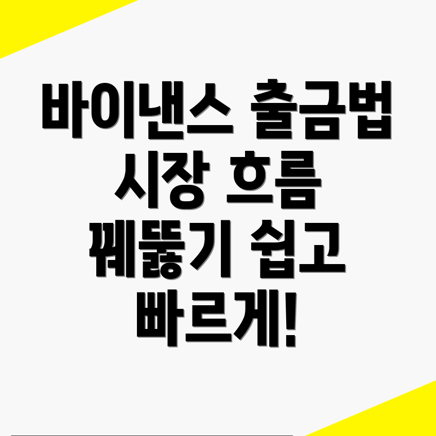 바이낸스 출금 방법