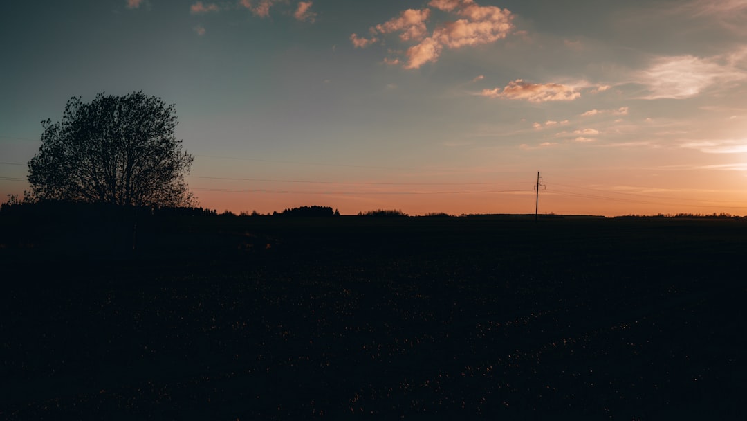 Minefield.