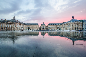 제주렌트카, 항공권 가격비교