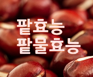팥 효능