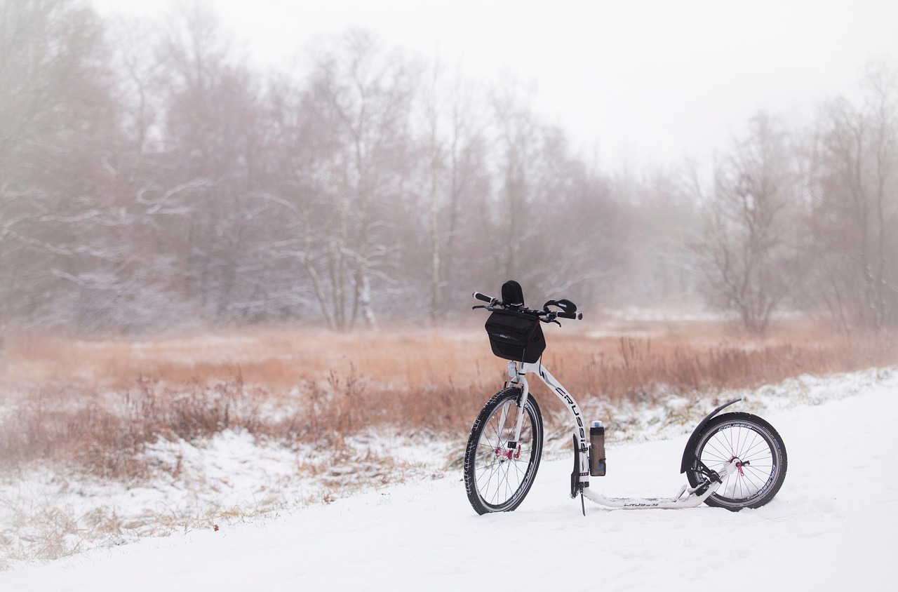중장년층 맞춤 스포츠 (건강, 부상예방, 안전)