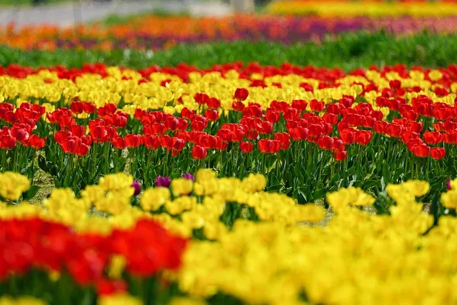 파주 가볼만한곳 베스트10 여행 코스 맛집_7