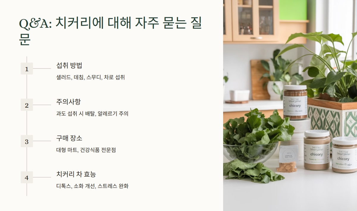 치커리 효능
