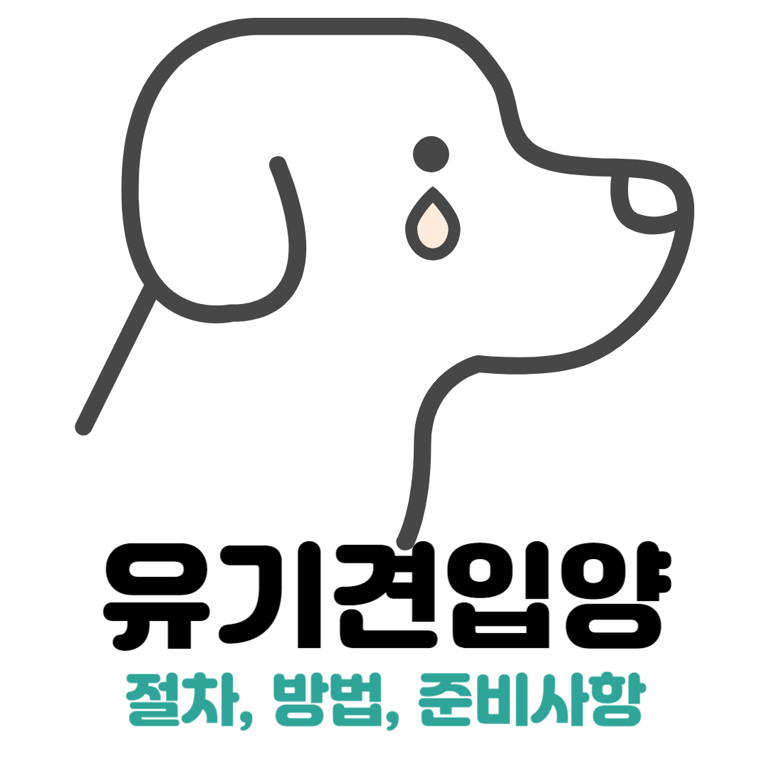 유기견 입양 상징 썸네일