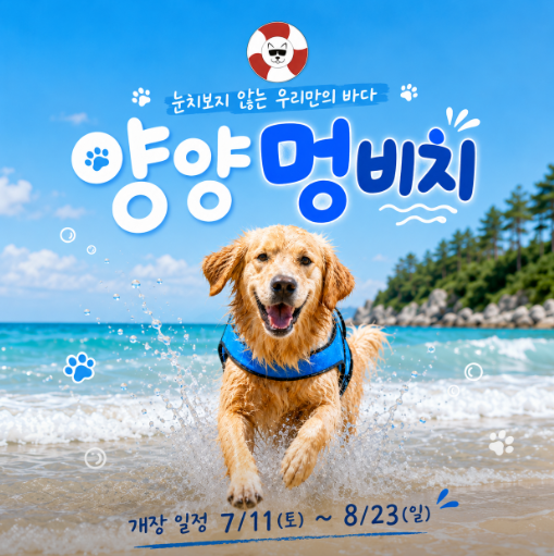 생방송투데이 오늘 방송 맛집