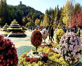 청남대 홈페이지 예약 접수_17