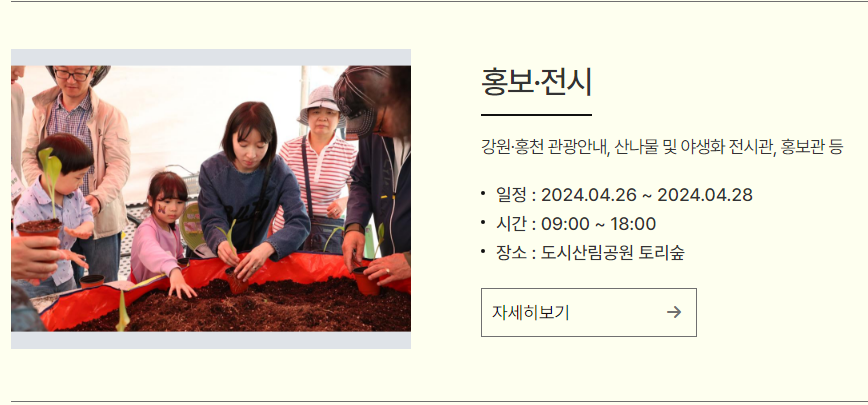 강원 N 홍천 산나물 축제 프로그램