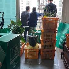 전입세대 열람내역서 인터넷 발급