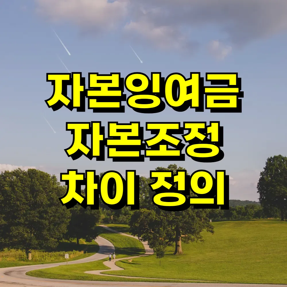 자본잉여금 자본조정 차이 정의