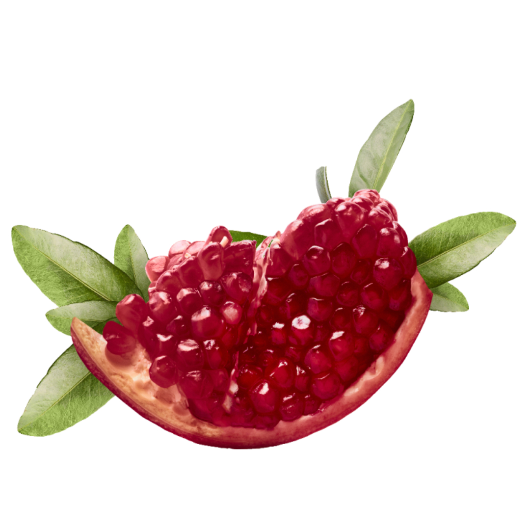 콜라겐과 관련된 사진입니다.