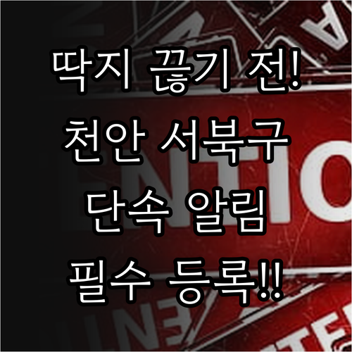 천안 서북구 주정차 단속 문자 알림 ..