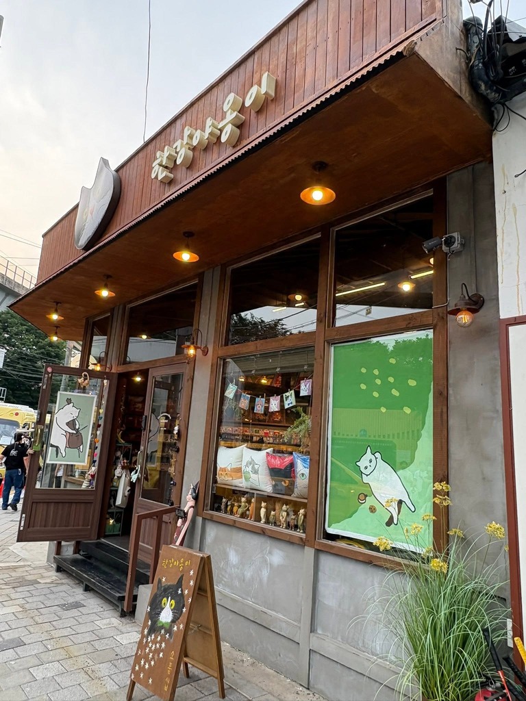 한강야옹이