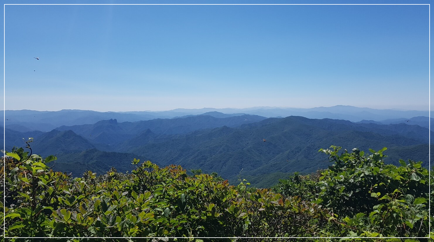 태백 가볼만한곳 베스트10 태백산 국립공원