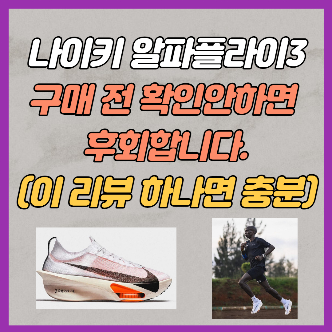 나이키 알파플라이3