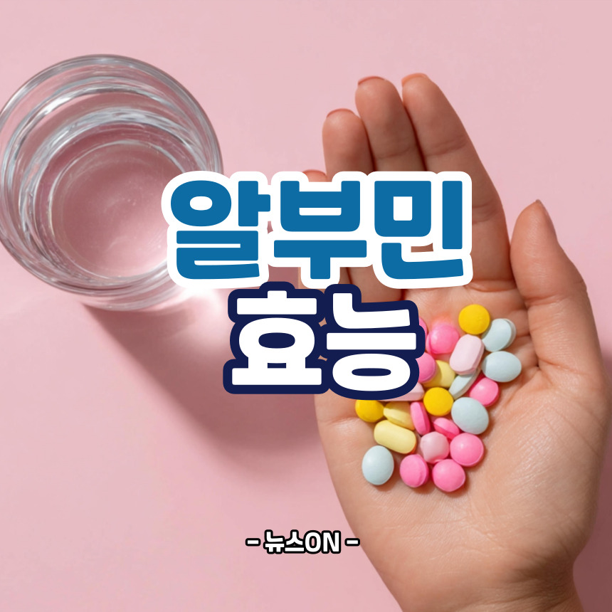 알부민의 효능