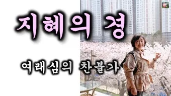 반야심경 깊은 지혜 현대적 의미 정리_25