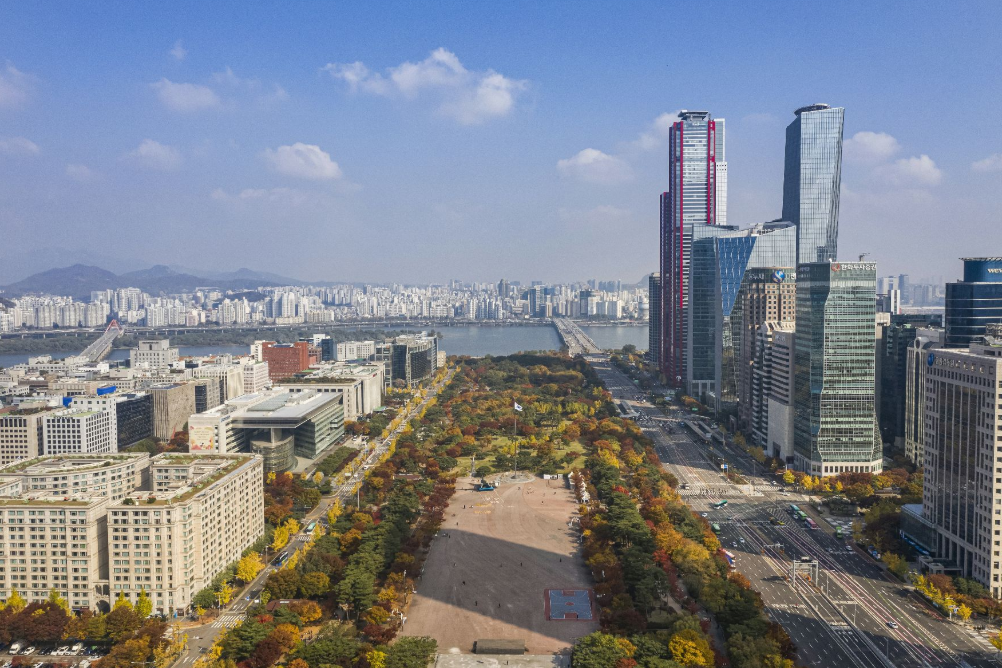 영등포 여의도 봄꽃축제 2025 맛집 주차 꿀팁정리