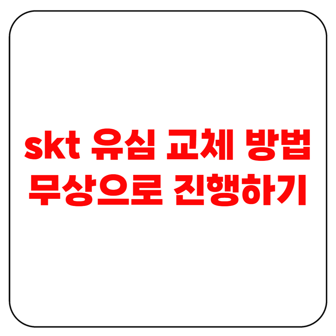 skt 유심 교체 방법
