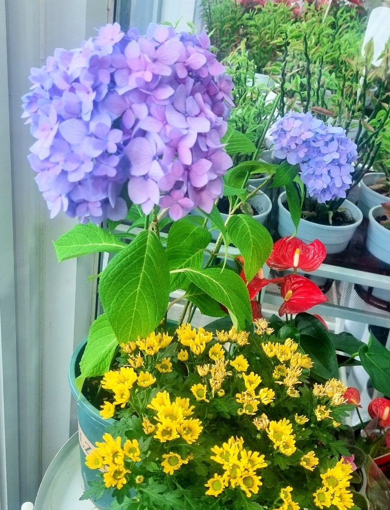 문지리 535 카페 입구에 꽃과 디퓨저 파는 곳이 있어서 향긋한 향에 기분이 좋아집니다. 