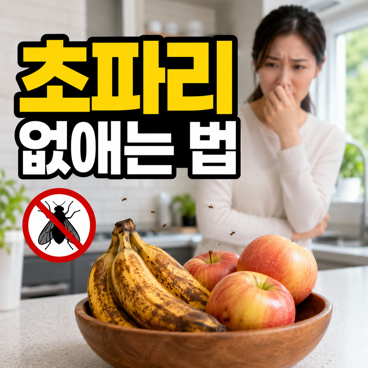 초파리 없애는 법