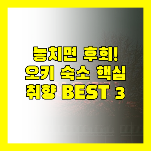 오키 섬 숙소 고민 끝 여행 취향별 ..