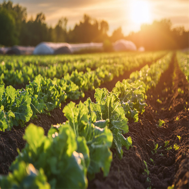 농업교육포털 회원가입