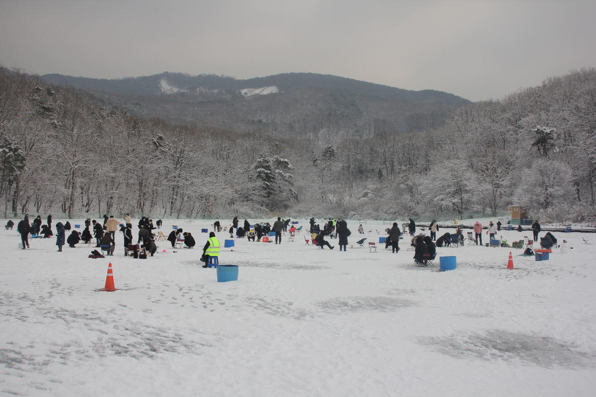  강화 신선지 빙어 축제 