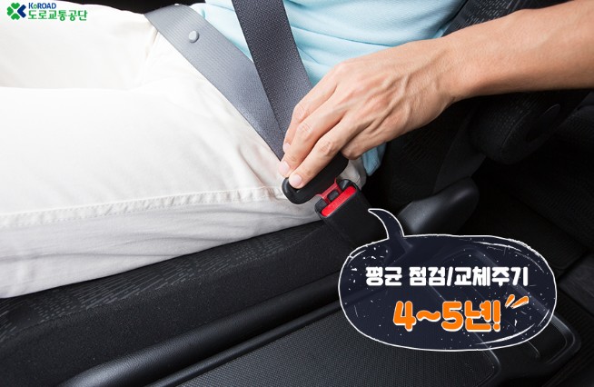 안전벨트의-평균점검-교체주기는-4~5년이다