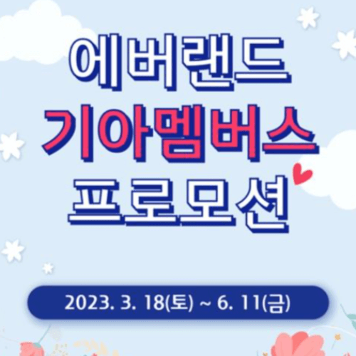 에버랜드 자유이용권 할인