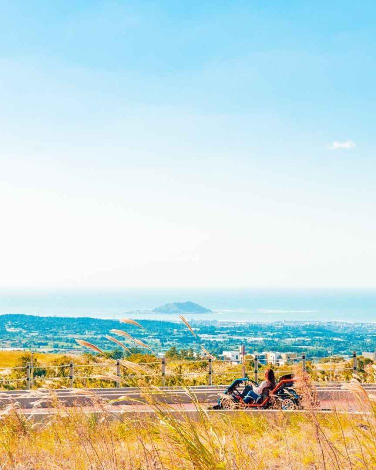 10월 지역 축제 제주 가을 축제 억새