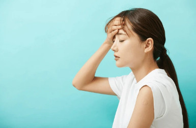 소론도정