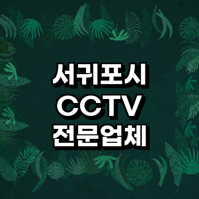 제주 서귀포시 cctv