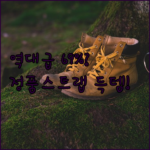 애플워치 스트랩 정품 모던 버클 69..